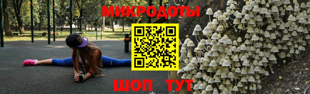 Галлюциногенные грибы Psilocybine cubensis Усинск